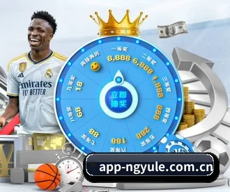 ng娱乐 APP 深度功能